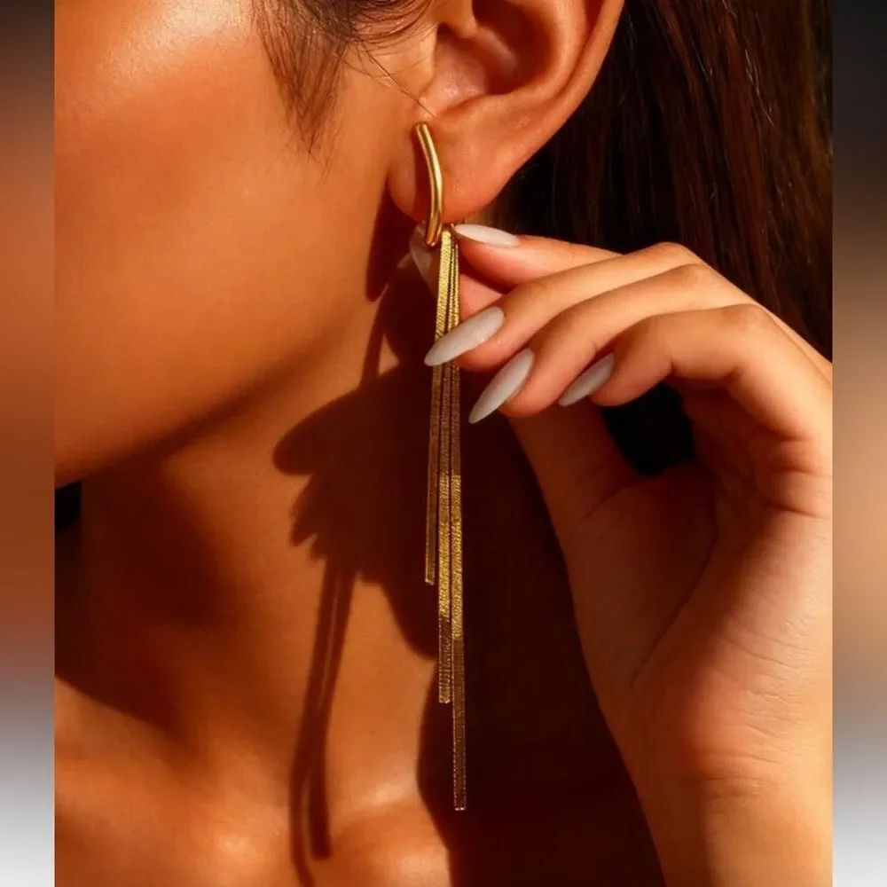 Tassel Dangle Earrings Q932